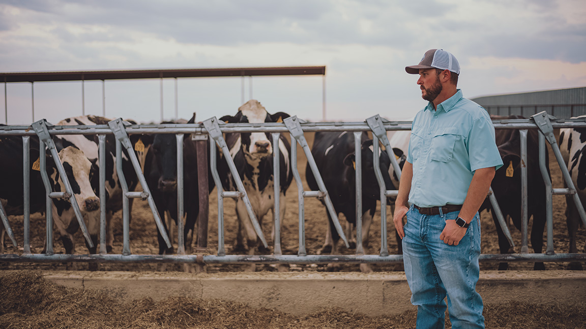 Son-in-law Cody Kirby in the feed lane of a Caprock Dairy dry lot.