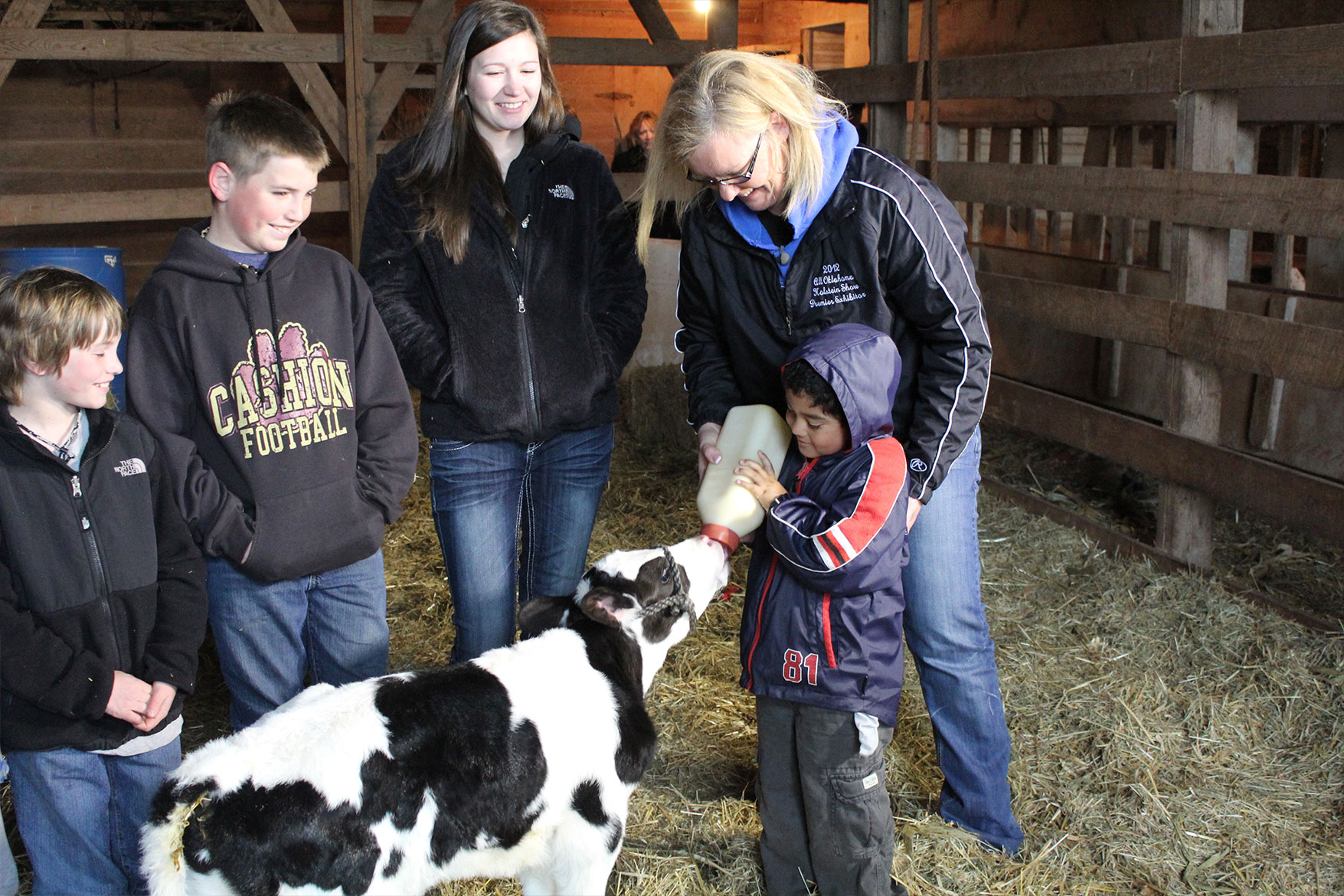 Feeding a calf a bottle is harder than it looks.