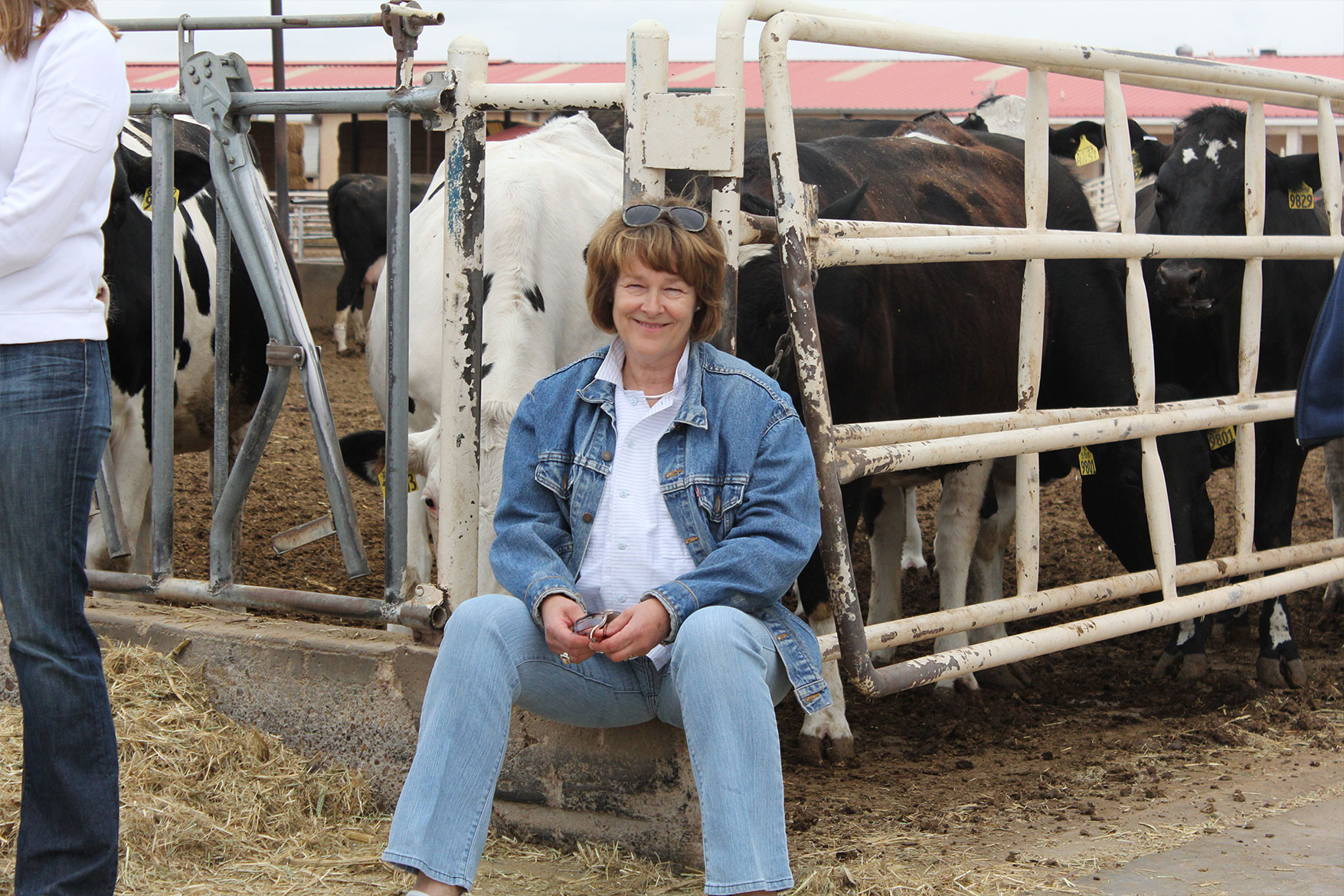 Sjierkje van der Ploeg poses for a photo with some of the herd.