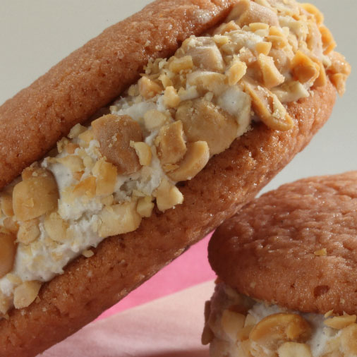 Lactose-Free Ice Cream Sandwiches with Peanuts