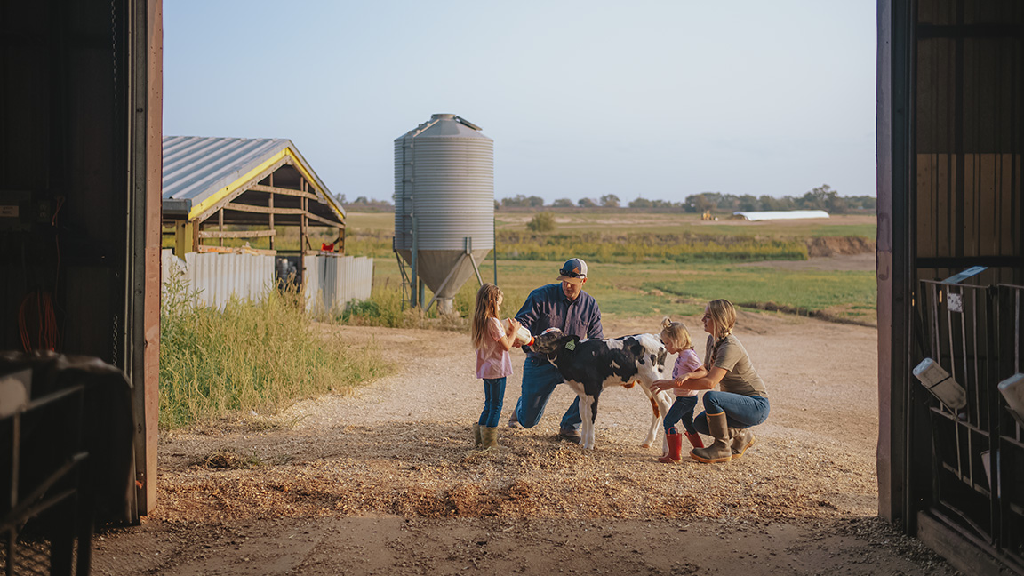 The Vander Dussen family feeding a calf on the Rajen Dairy.