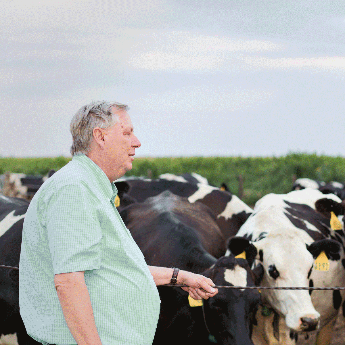 Bernhardt Dairy Farm Thumbnail