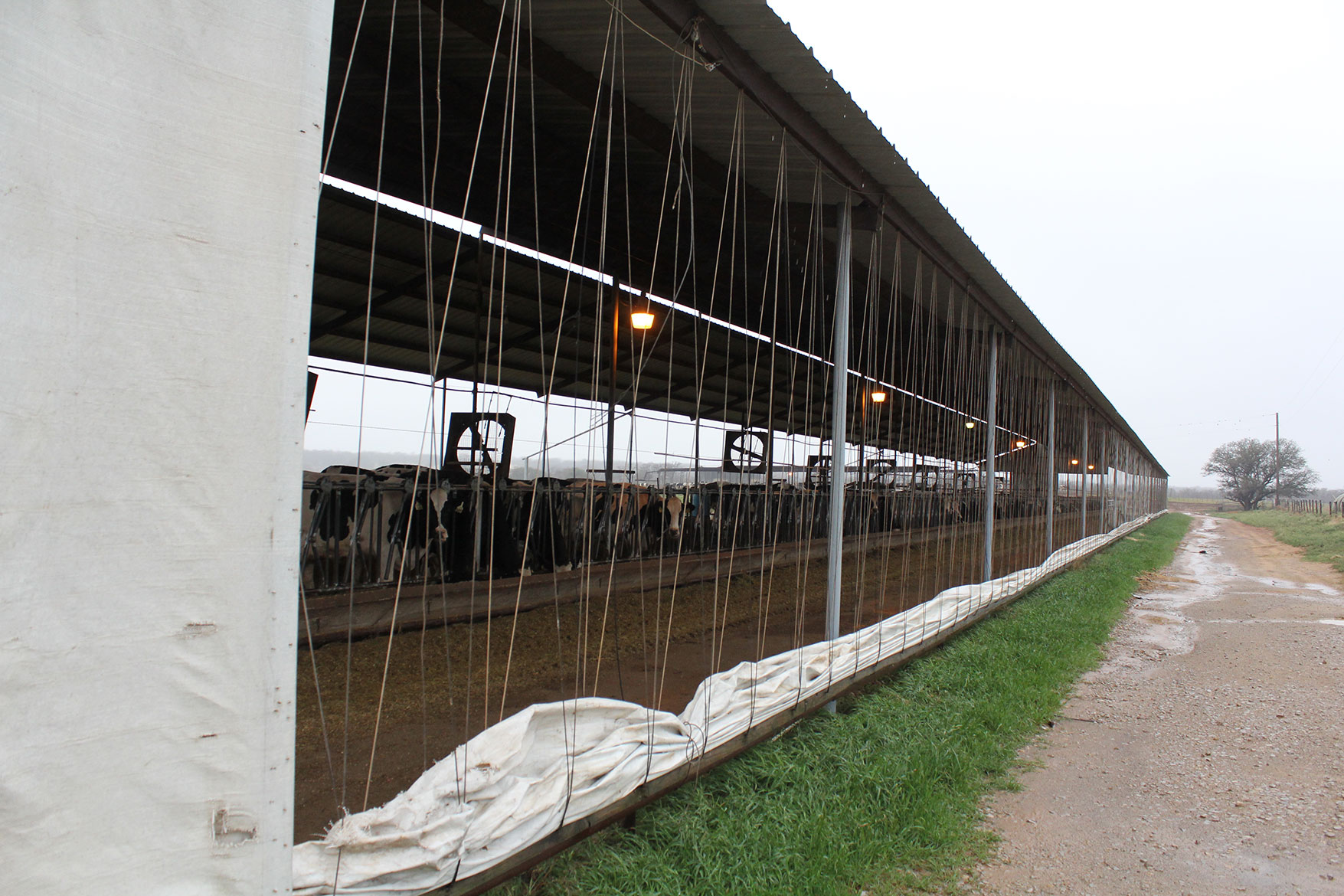 The barn at Wolf Legendairy is good for warm or cold weather.