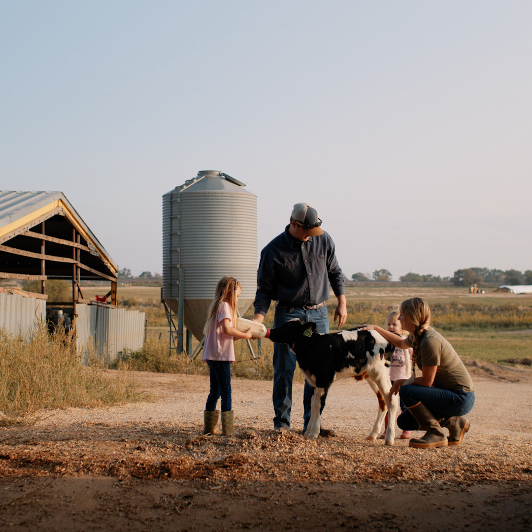 dairy farming family