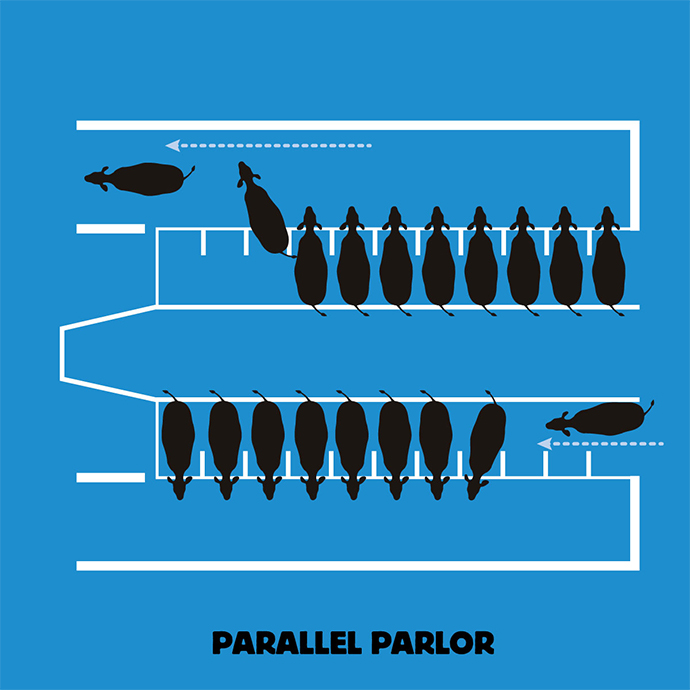 Parallel Parlor