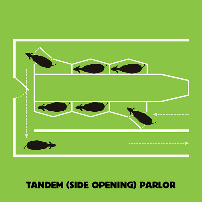 tandem parlor