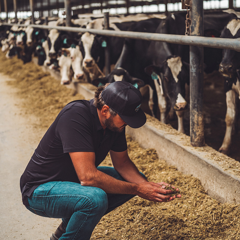 Wolf Creek Dairy