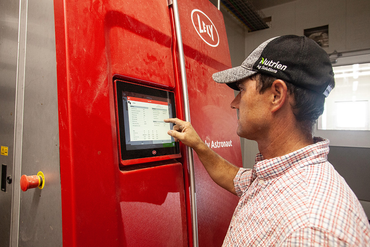 Will Collier looks at the screen of one of the robotic milkers.