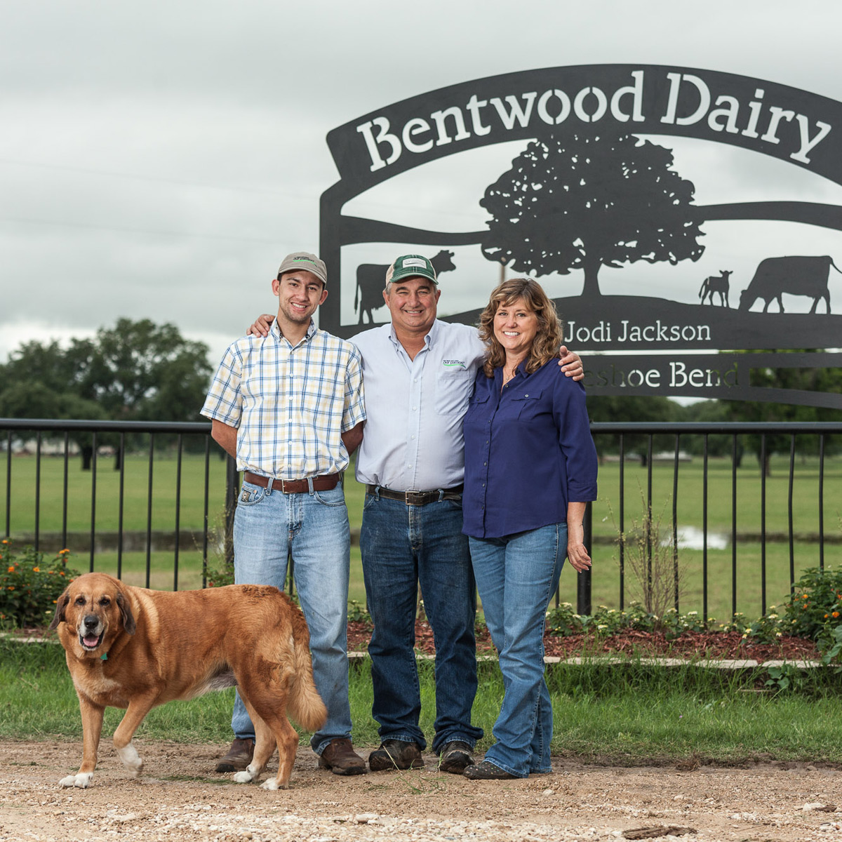 Bentwood Dairy